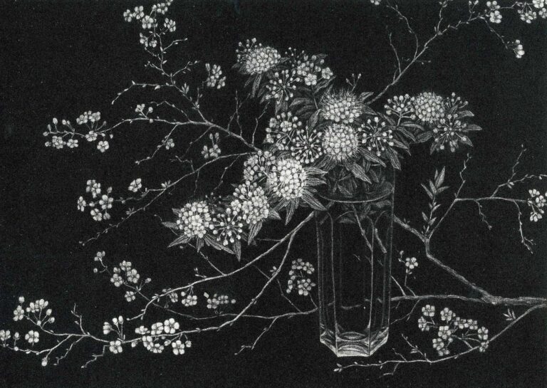 丹阿弥丹波子丹阿弥丹波子 NIWAKO TAN-AMI銅版画#現代アート桃李美術品